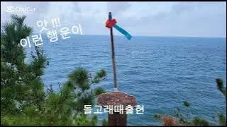 요나고래 사진 1
