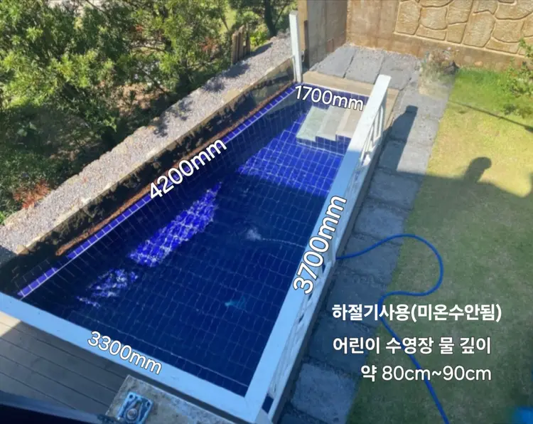 요나고래 사진 3