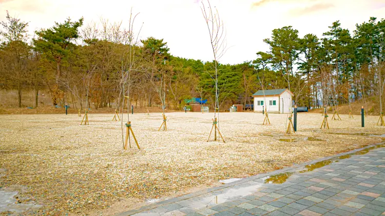 아침햇살 청소년 야영장 사진 3
