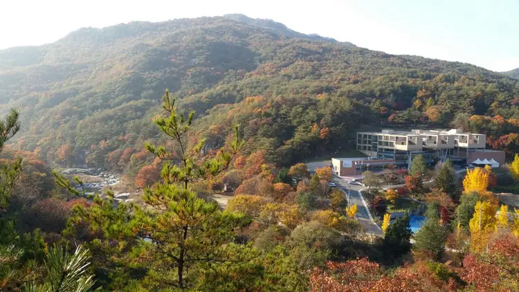충청북도자연학습원 사진 4