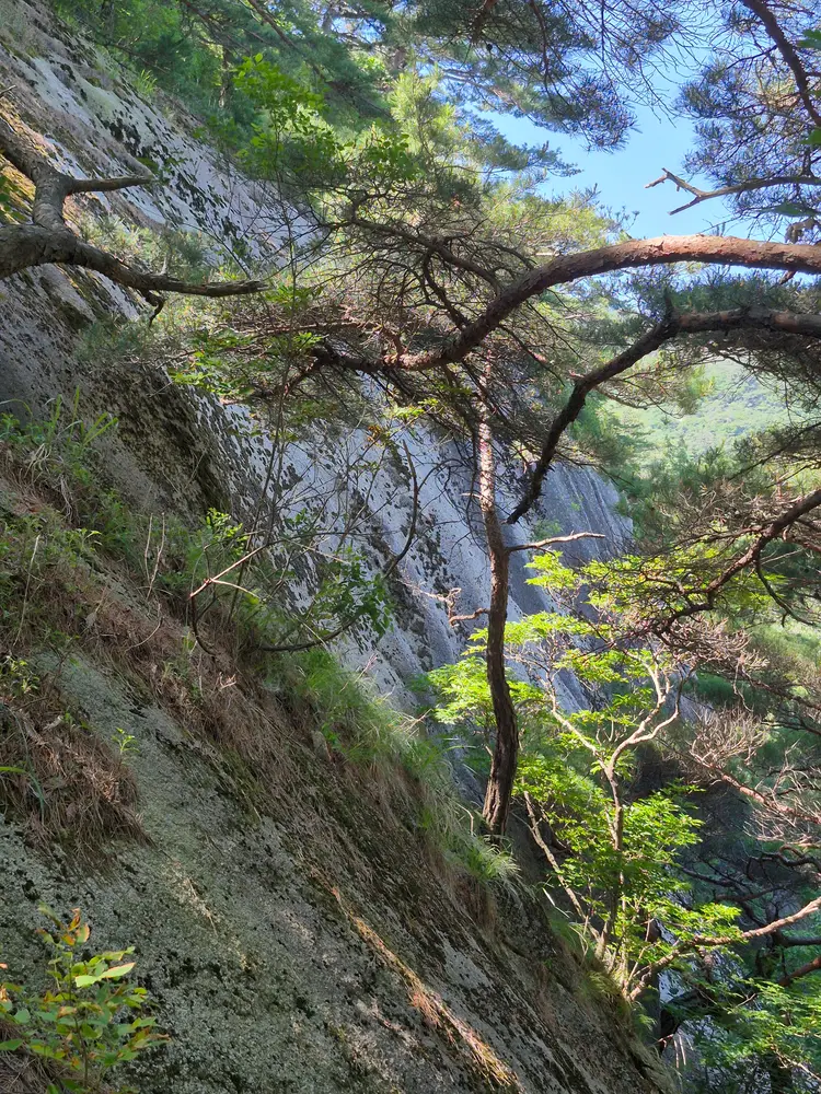 충청북도자연학습원 사진 5
