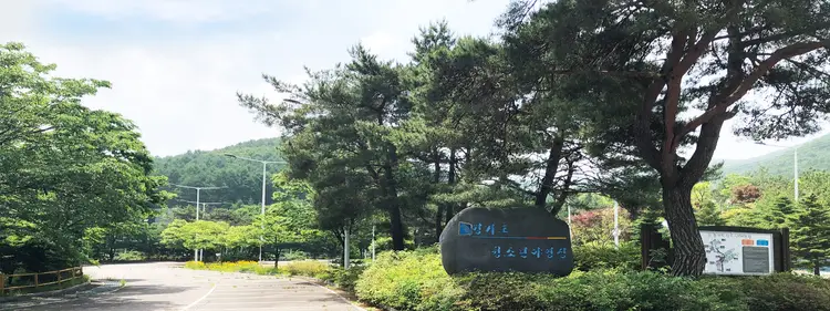 경기도청소년야영장 사진 1