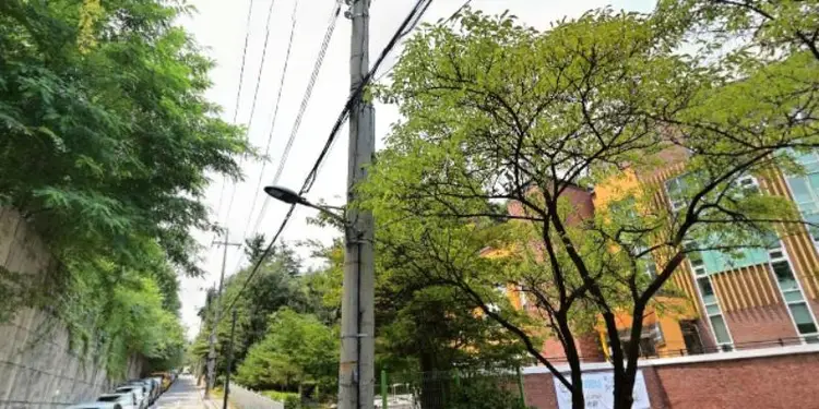 강남청소년센터 사진 2