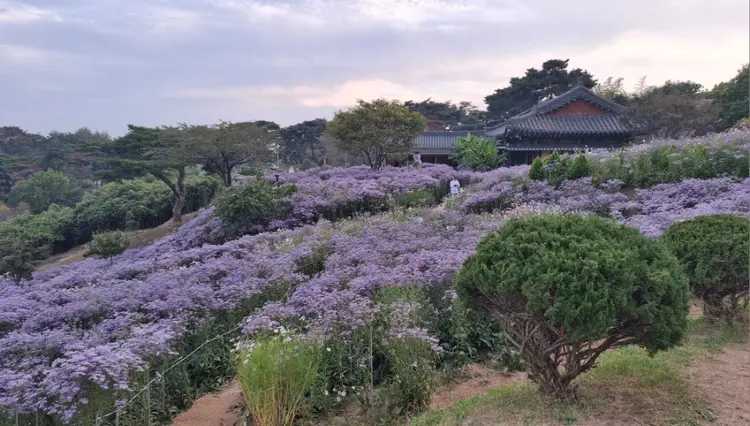 성보촌 유스호스텔 사진 5