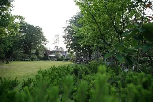다윗동산 사진 4