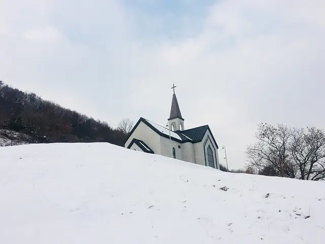 생명숲채플 사진 2