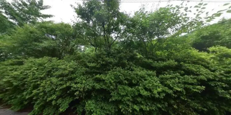하늘숲공동체 사진 2