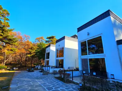 보나의 언덕
