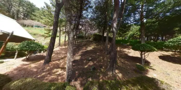 금련산 청소년수련원 사진 2