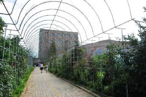 새중앙교회대부도수양관 사진 2