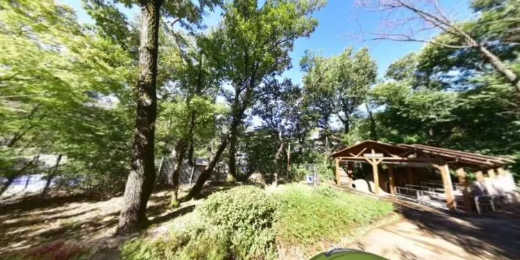 봉도청소년수련원 사진 2