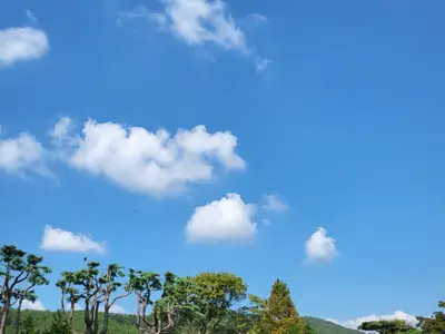 경호강그린캠프