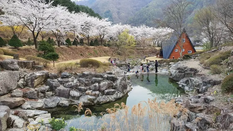 수도중앙교회 담터수양관 사진 3