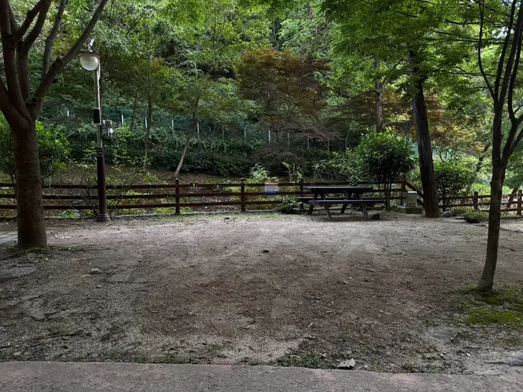 순천시청소년수련원야영장 사진 5