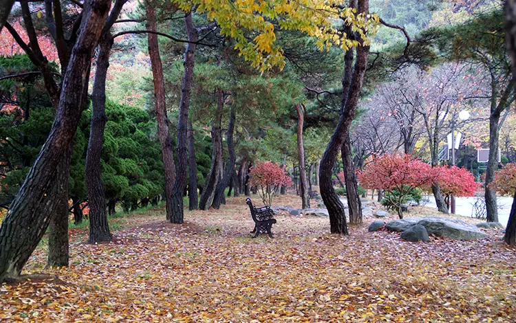 음성꽃동네사랑의연수원 사진 4