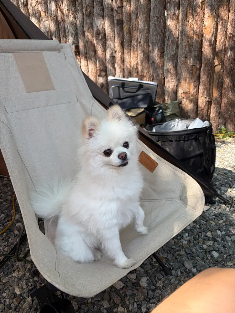 모현야영장 사진 5