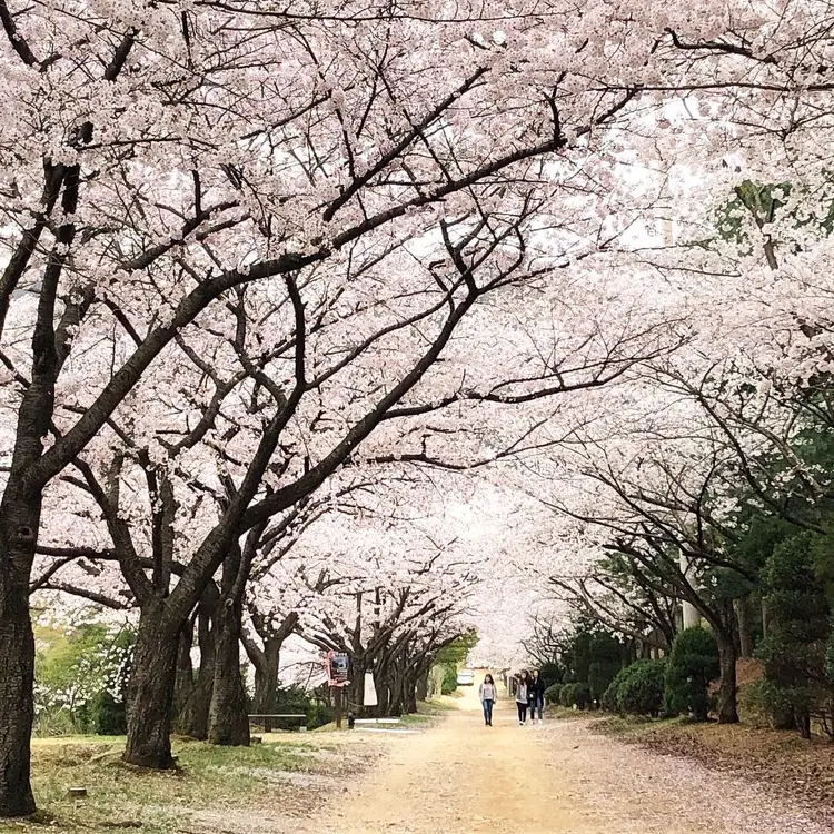 새싹동산 청려수련원 사진 2