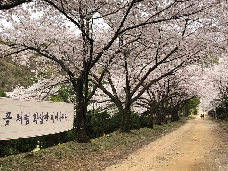 새싹동산 청려수련원 사진 4