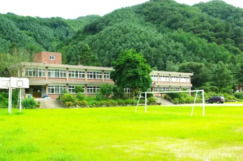 반딧불 이야기 사진 2