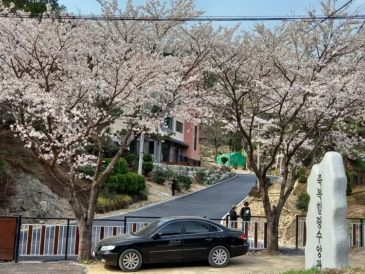 축복힐링수양관 사진 2