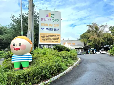 은행나무연수원