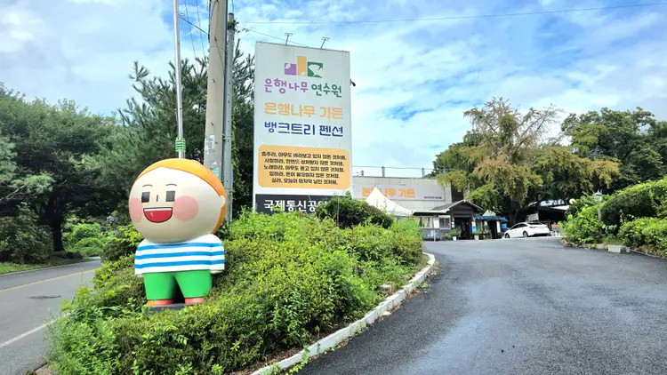 은행나무연수원 사진 1
