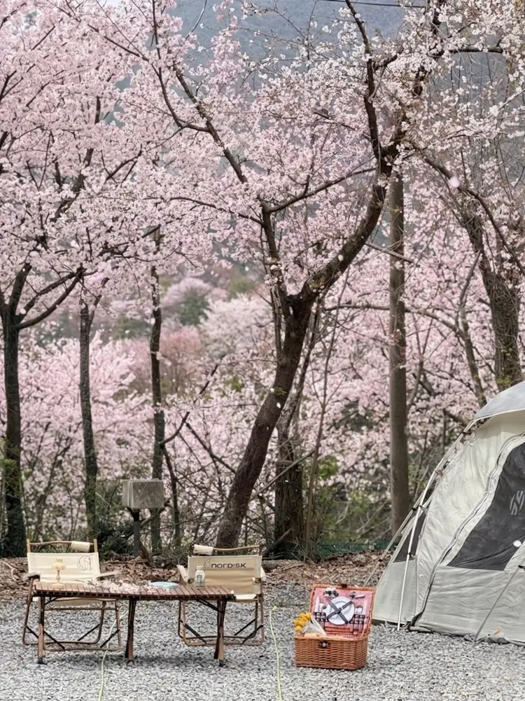 지리산청소년수련원1996 사진 4
