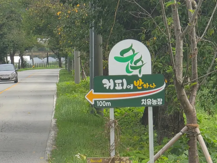 순수힐링팜 사진 3