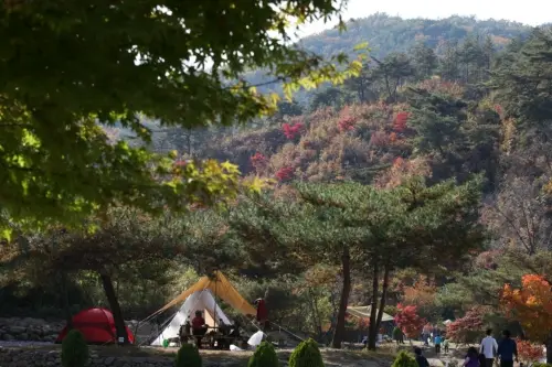 동방아트 사진 3