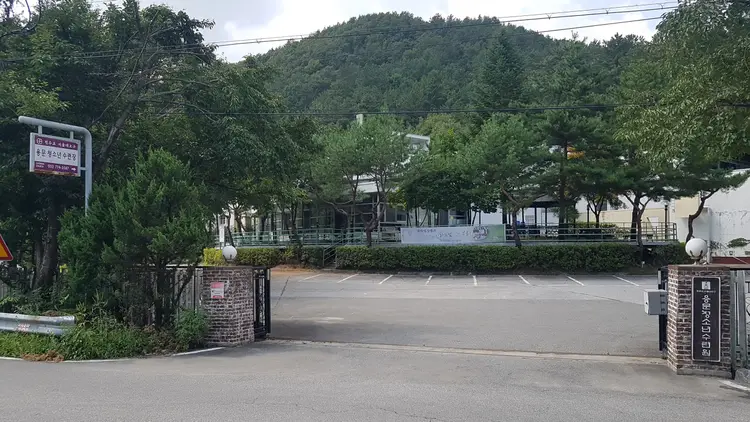 용문청소년수련원 사진 1