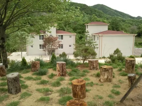 늘푸른 기독교 수양관 사진 4
