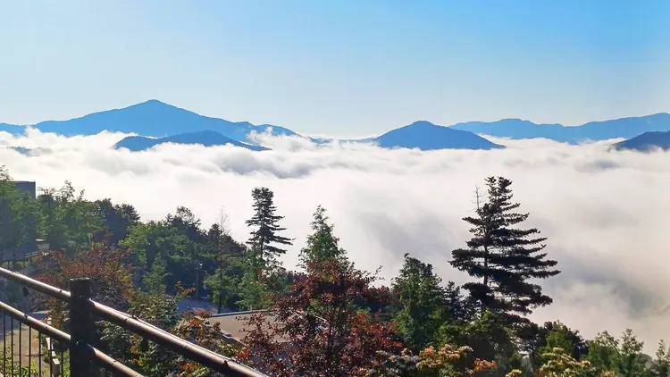 오스트리아캠핑 사진 1