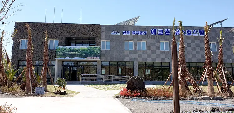 선흘리동백동산에코촌유스호스텔 사진 1
