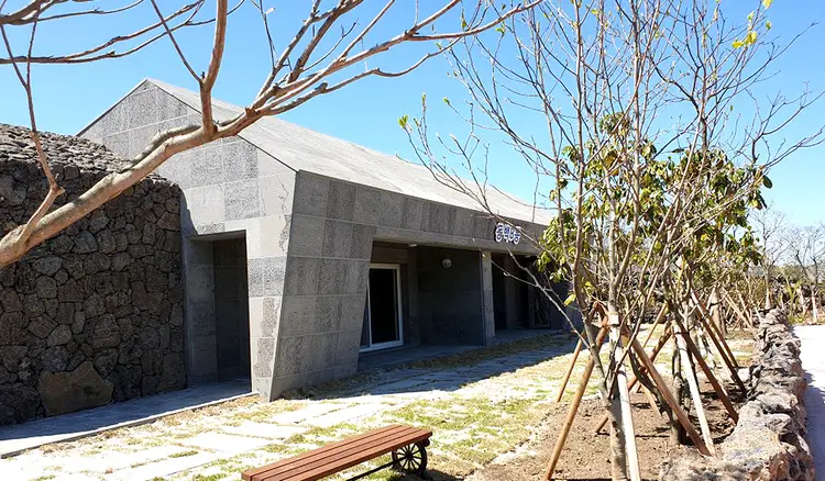 선흘리동백동산에코촌유스호스텔 사진 4