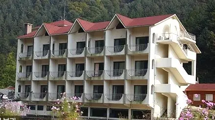 그린캠프유스호스텔 사진 1