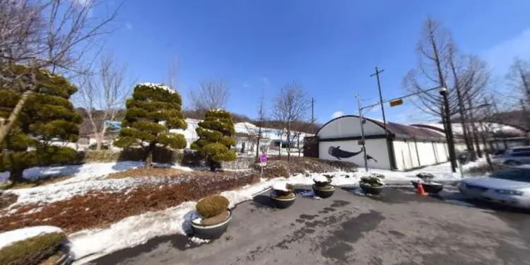 천안상록유스호스텔 사진 2